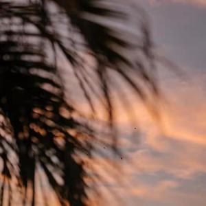 久久精品三级视频
